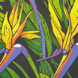 strelitzia-hand-coloured-linocut